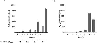 Streptococcus pluranimalium 2N12 Exerts an <mark class="highlighted">Antagonistic Effect</mark> Against the Swine Pathogen Actinobacillus pleuropneumoniae by Producing Hydrogen Peroxide